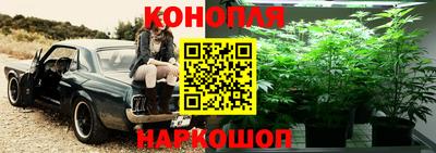трава Пенза